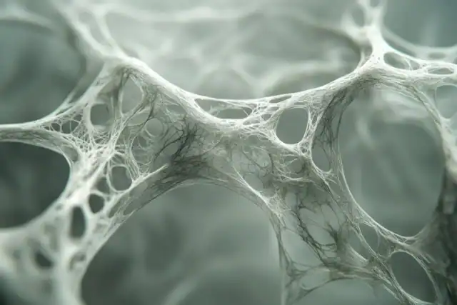 Macro close-up of fibrous fabric texture resembling fascia network.